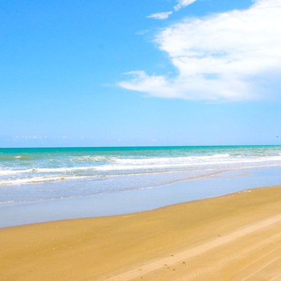 live listing - Picture 1 of 1